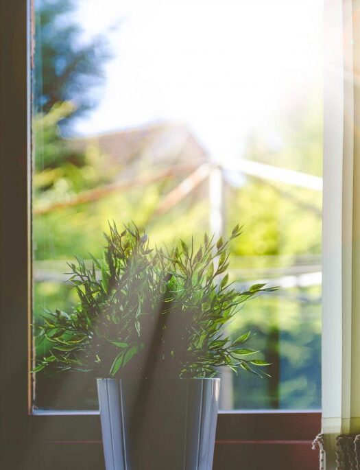 Indoor air quality Indoor air quality