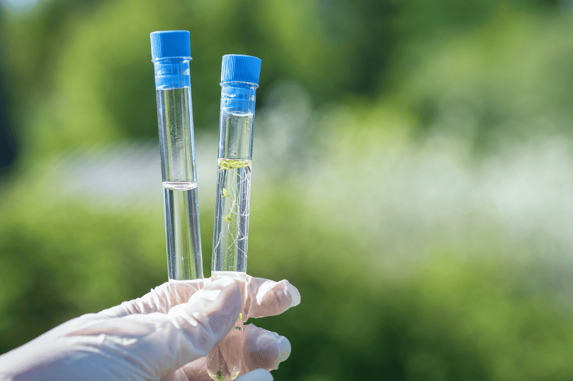 Bacteria/water Sampling Bacteria/water Sampling